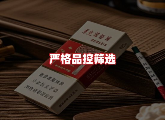 专业团队